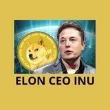 Elon CEO inu