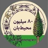 ٨٠ ميليون محيط بان