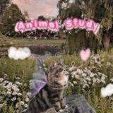 ʚ ָ 🍓 𝐀nιꬺ𐐼ᥣ ▸ 𝐒tυძᴜᩛ ฅ ◞ #SlowUp