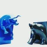 Monkey Crypto