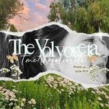 the volvoreta - PROMO MINGGUAN