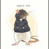 Rattit