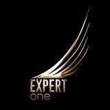 Expert one