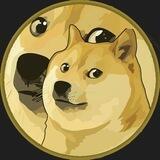 DogeInDoge