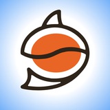 مترجم شدن