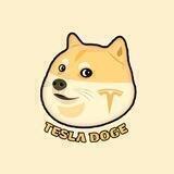 Tesla Doge Portal | Elon Tweet