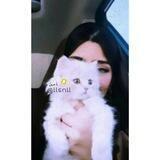 - ڪَيࢪاز ⚜ᯓ.