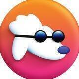 POODL Token Community 🐩