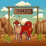 BULLOGE|Portal|Launch soon