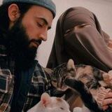 Qolbiy | قالبی ❤