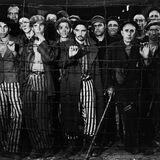 Estudos Revisionistas do Holocausto