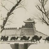 北京同城