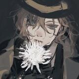 bungou stray dogs.