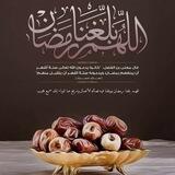 فتاوى رمضانية وصيام التطوع لكبار العلماء