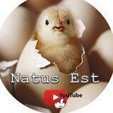 Natus est IT