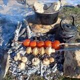 بال نیوز