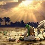 الشاعر حسن غانم العبادي