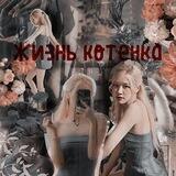 Жизнь котёнка