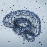 The Brain Food Channel