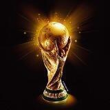 WorldCup_DAO_ENTRY
