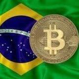 (INVESTIDORES CRIPTOMOEDAS BRASIL 🇧🇷 🤑🔥🌱🎯)