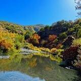 فەرهەنگی ژین، وشەدانی کوردی- کوردی.