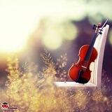 🎻کورد ـ موزیک🎸