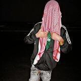 shahin13