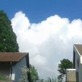 NHS Wetteraktionen