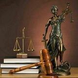 وکلای همیشه سبز ⚖️