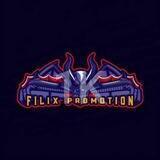 Filix Promotion 1k+