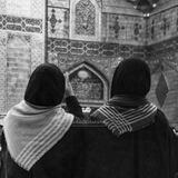 زَهــرةُ ﮼المَـهدي🖤 .