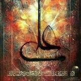 #جهاد_تبیین_بصیرت_علوی