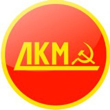 Лига коммолодежи