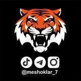 MESHOKLAR_7