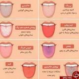 کانال آموزش زبان شناسی طبی