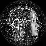 Ingeniería, Ciencia y Tecnología