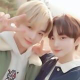 ۫ ׅ 🐈 𝘷𝘱 𝘱𝘢𝘳𝘢𝘥𝘰𝘹
