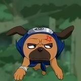 PAKKUN INU 🐾