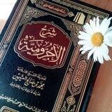 اللغة العربية