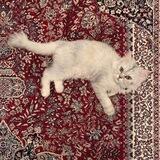 - اللهمّ حبك .