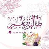 طۨہٰٰآلبّہةً ۤ؏ـلمـ 🌸 | صلِّ عَ النبيﷺ