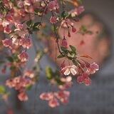 از دلخوشی‌های کوچک