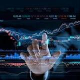DAILY STOCK KING