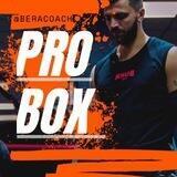 ПРО БОКС (PRO BOX)