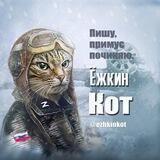 Чат, ёжкин кот!