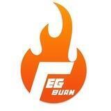 Feg Burn Official Portal