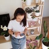 Orchid_katlo