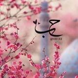 •| حـُبّ |•