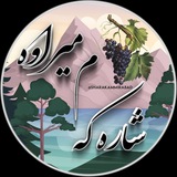 🍇 شارەکەم میراوه 🍇